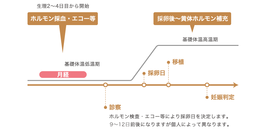 体外受精の流れ